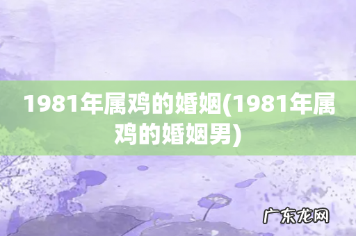 1981年属鸡的婚姻男 1981年属鸡的婚姻