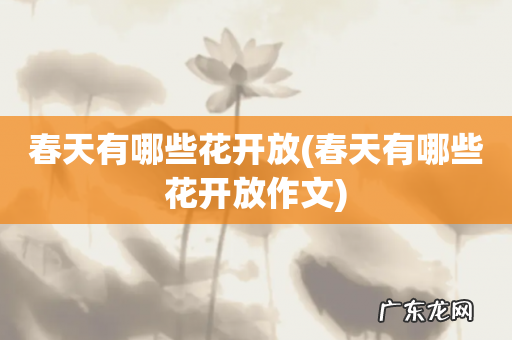 春天有哪些花开放作文 春天有哪些花开放