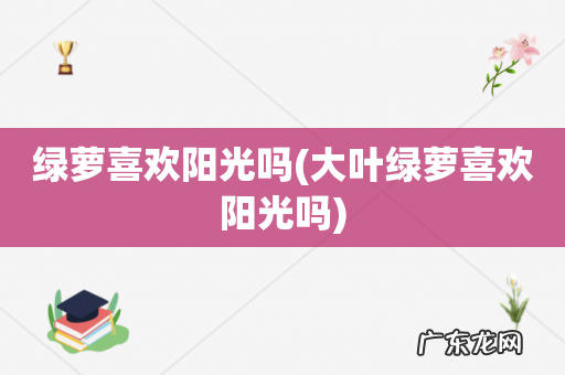 大叶绿萝喜欢阳光吗 绿萝喜欢阳光吗