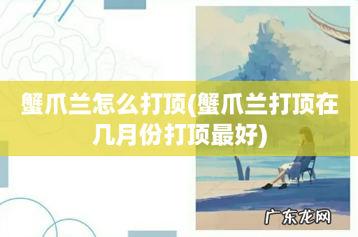 蟹爪兰打顶在几月份打顶最好 蟹爪兰怎么打顶