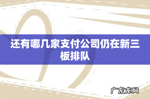 还有哪几家支付公司仍在新三板排队