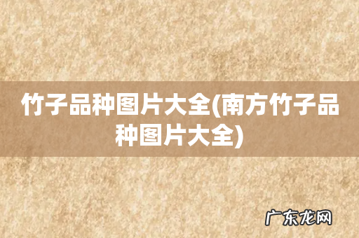 南方竹子品种图片大全 竹子品种图片大全