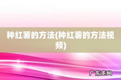 种红薯的方法视频 种红薯的方法