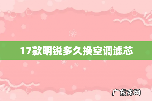 17款明锐多久换空调滤芯