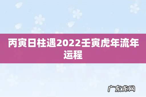 丙寅日柱遇2022壬寅虎年流年运程