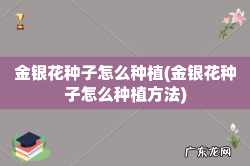 金银花种子怎么种植方法 金银花种子怎么种植