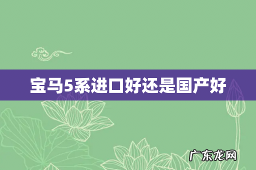 宝马5系进口好还是国产好