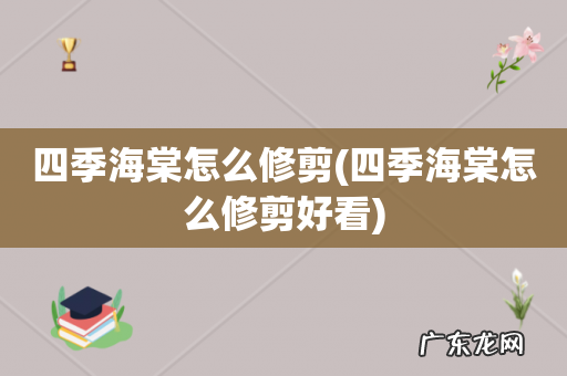 四季海棠怎么修剪好看 四季海棠怎么修剪