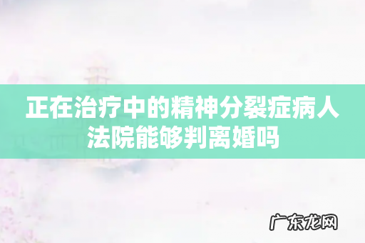 正在治疗中的精神分裂症病人法院能够判离婚吗