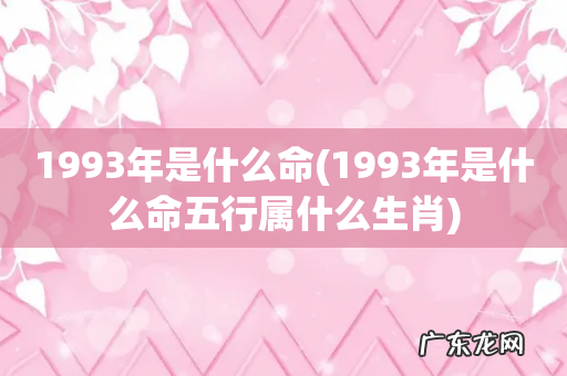 1993年是什么命五行属什么生肖 1993年是什么命