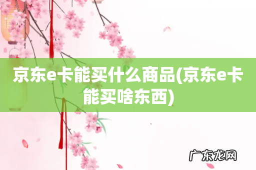 京东e卡能买啥东西 京东e卡能买什么商品