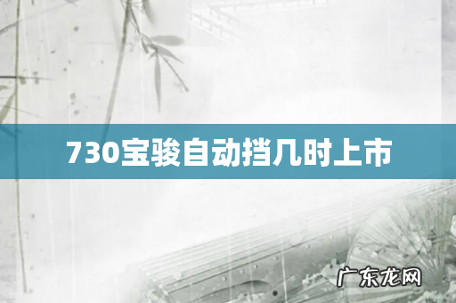 730宝骏自动挡几时上市