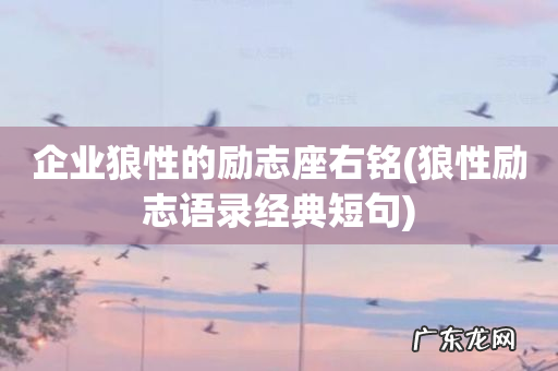 狼性励志语录经典短句 企业狼性的励志座右铭