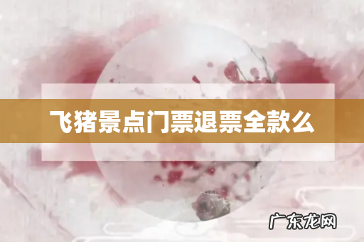 飞猪景点门票退票全款么