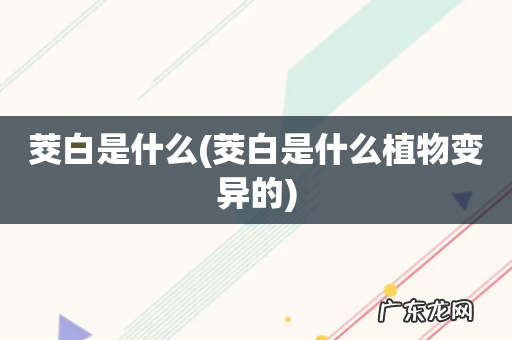茭白是什么植物变异的 茭白是什么