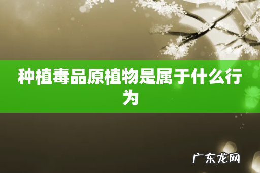 种植毒品原植物是属于什么行为