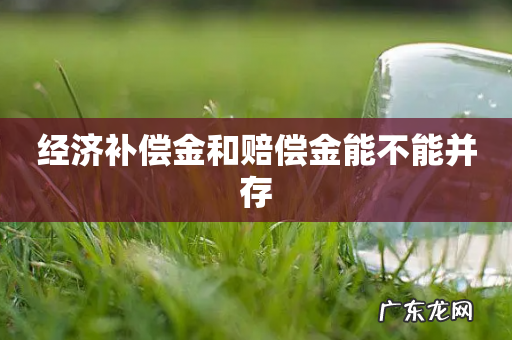 经济补偿金和赔偿金能不能并存