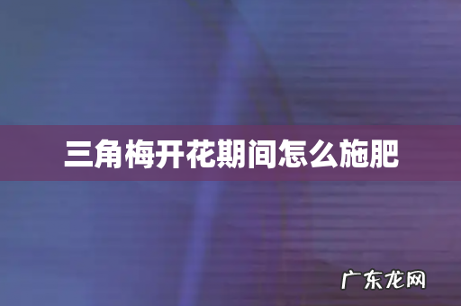 三角梅开花期间怎么施肥