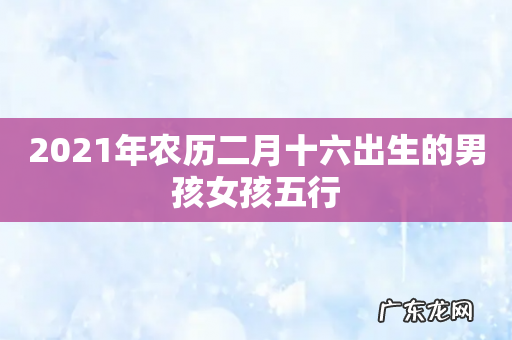 2021年农历二月十六出生的男孩女孩五行