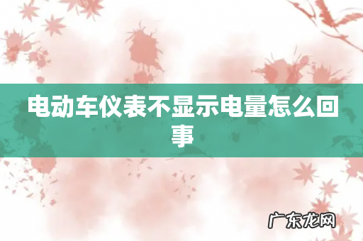 电动车仪表不显示电量怎么回事