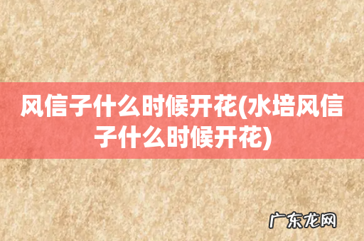 水培风信子什么时候开花 风信子什么时候开花