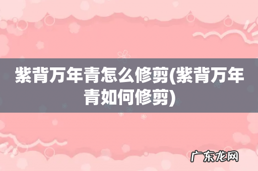 紫背万年青如何修剪 紫背万年青怎么修剪