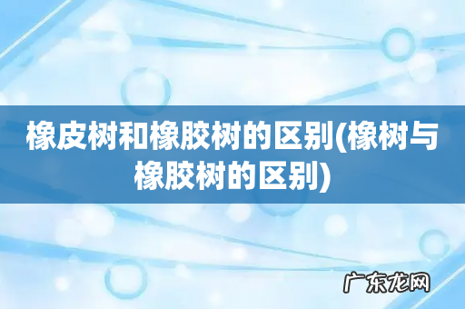 橡树与橡胶树的区别 橡皮树和橡胶树的区别