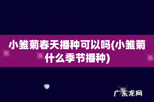 小雏菊什么季节播种 小雏菊春天播种可以吗