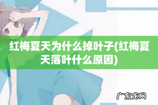 红梅夏天落叶什么原因 红梅夏天为什么掉叶子