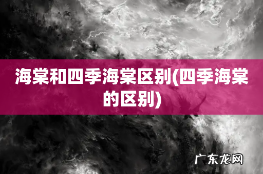 四季海棠的区别 海棠和四季海棠区别