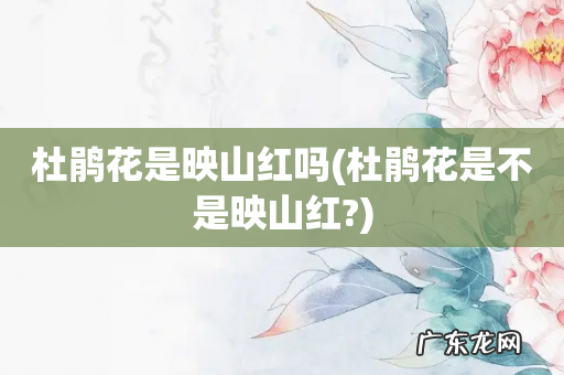 杜鹃花是不是映山红? 杜鹃花是映山红吗