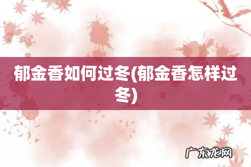 郁金香怎样过冬 郁金香如何过冬
