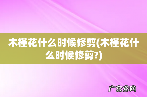 木槿花什么时候修剪? 木槿花什么时候修剪