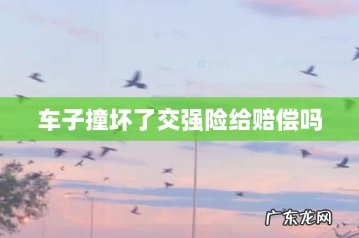 车子撞坏了交强险给赔偿吗