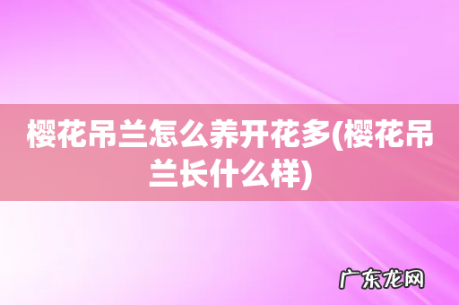 樱花吊兰长什么样 樱花吊兰怎么养开花多