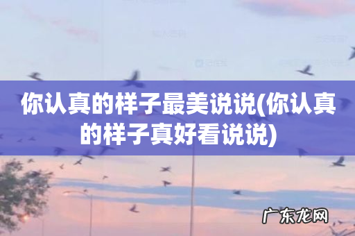 你认真的样子真好看说说 你认真的样子最美说说