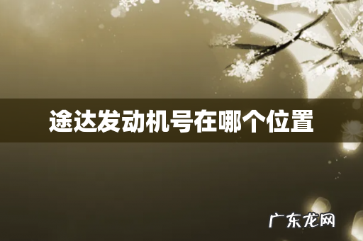 途达发动机号在哪个位置