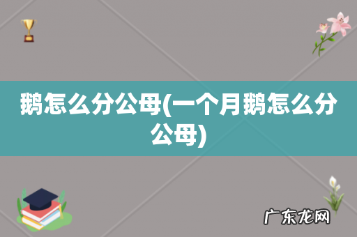 一个月鹅怎么分公母 鹅怎么分公母