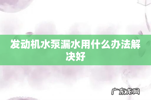 发动机水泵漏水用什么办法解决好