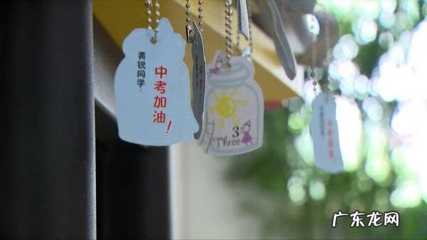 家里种太阳花好吗风水 太阳花风水寓意