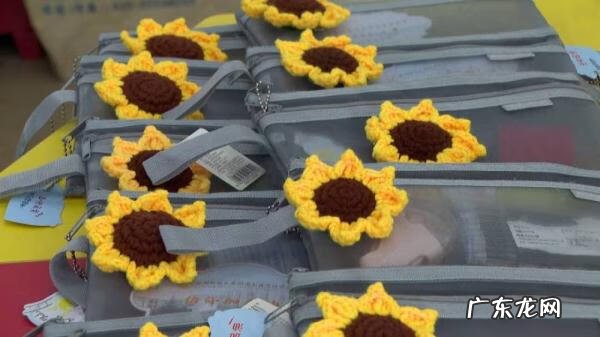 家里种太阳花好吗风水 太阳花风水寓意