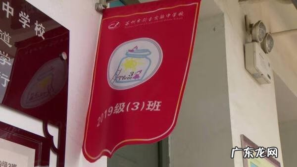 家里种太阳花好吗风水 太阳花风水寓意