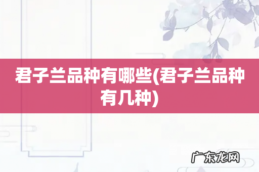 君子兰品种有几种 君子兰品种有哪些