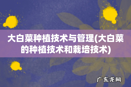 大白菜的种植技术和栽培技术 大白菜种植技术与管理