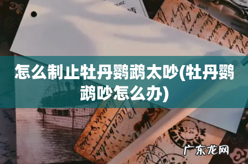 牡丹鹦鹉吵怎么办 怎么制止牡丹鹦鹉太吵
