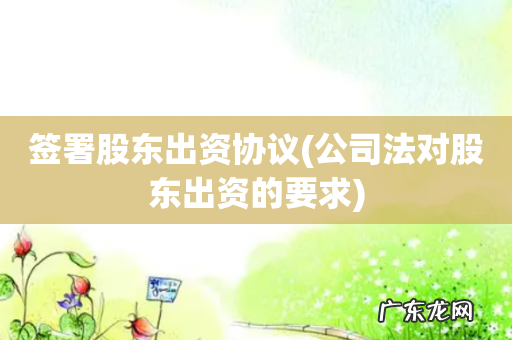 公司法对股东出资的要求 签署股东出资协议