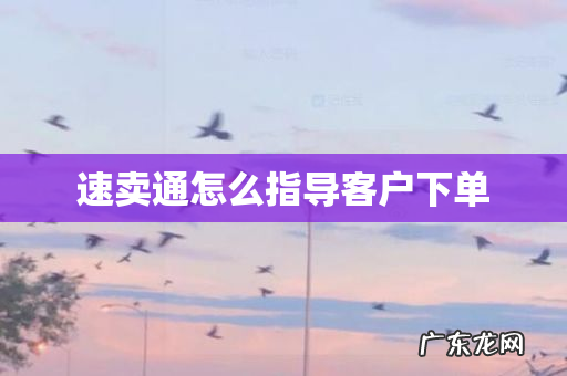 速卖通怎么指导客户下单