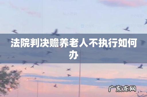 法院判决赡养老人不执行如何办