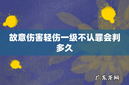 故意伤害轻伤一级不认罪会判多久