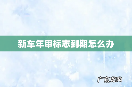 新车年审标志到期怎么办